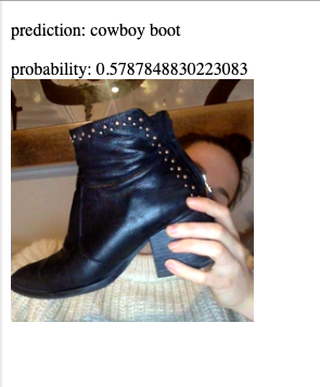 boot webcam